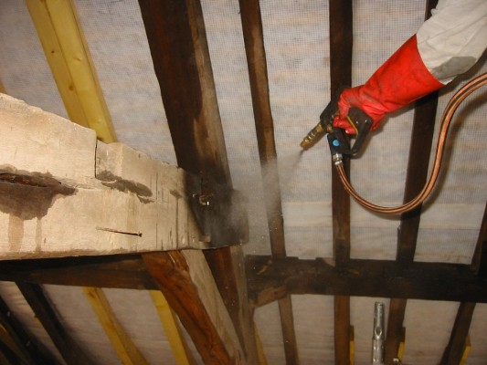 traitement de bois anti capricornes angouleme