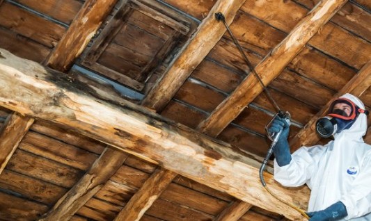 traitement de bois anti termites angouleme 